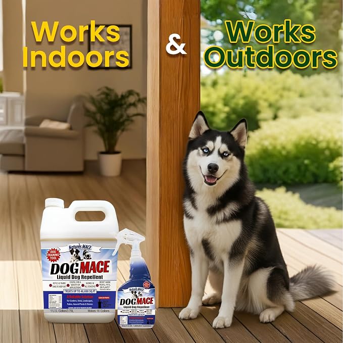 Nature’s MACE Dog Mace, Dog Repellent for Yard, Potty Training Tool Spray, Indoor & Outdoor, Pee Deterrent, Safe Around Kids, Pets, Garden & Plants, 1 Gallon Concentrate, Treats 48,000 Sq. Ft.