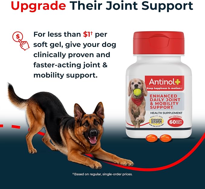 Antinol Plus, Mobility, Hip, and Joint Supplement for Dogs, Green-Lipped Mussels and Krill Oil - Dog Joint Supplement, Better and Faster Than Glucosamine and Chondroitin, 90 Soft Gels