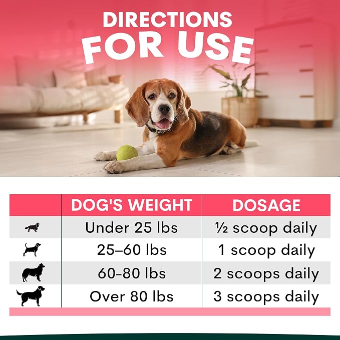 Petz Park Hip + Joint for Dogs 90 Scoops, Glucosamine for Dogs with Chondroitin and MSM, Dog Hip and Joint Supplement for Mobility Support, Dog Food Topper Powder for Joint Health and Flexibility