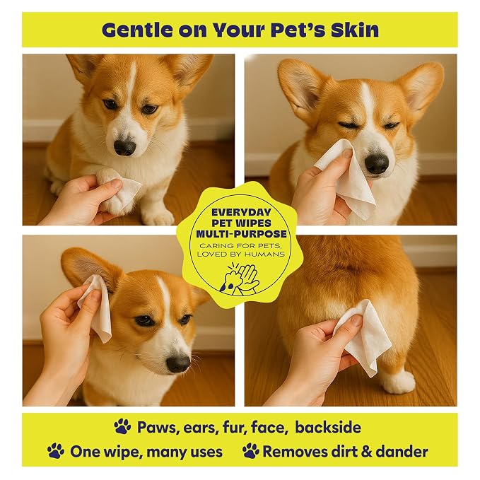Papilion Pet Wipes for Dogs & Cats, Gentle Grooming & Cleaning Wipes, Safe for Paws, Coat & Face for Daily Use, Paraben-Free, Extra Large All-Purpose Wipes, Flip-Top Pack, 600 Count