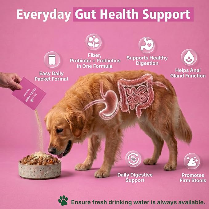 Mervue Stool Fiber for Dogs – Psyllium Husk Powder for Dogs to Support Firm Stools – Small & Medium Dog Digestive Support with Probiotics and B-Vitamins for Sensitive Stomachs – 21-Pack, 10g Each