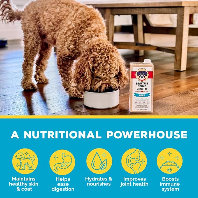 Brutus Beef Bone Broth for Dogs - All Natural Bone Broth with Chondroitin Glucosamine & Turmeric, Human Grade Food Toppers for Picky Eaters & Dry Food-Tasty & Nutritious, Pack of 12