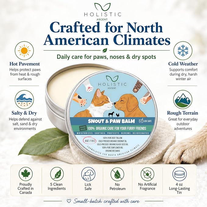 Dog & Cat Snout Paw Balm with Beef Tallow – Lick Safe. Paw & Nose Moisturizer for Dry, Cracked Paws – Natural Protective Balm for Dogs & Cats – 4 oz