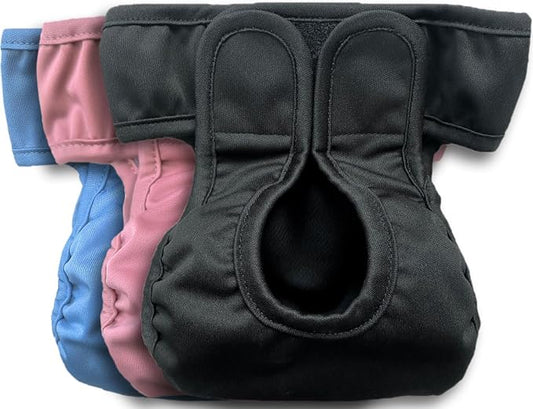 Kitty Bum Bums Reusable Cat Diapers and Stud Pants to Prevent Pee Marking - with Adjustable Tabs to Fit (Pack of 3) (Large)
