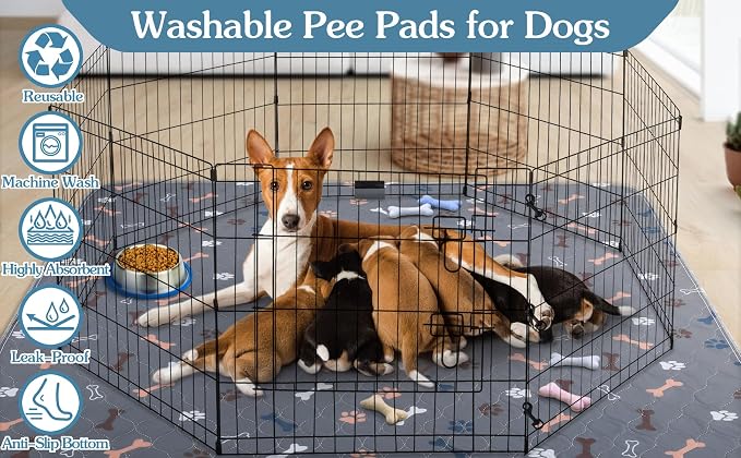 Washable Pee Pads for Dogs Large 36" x 72" 2-Pack Reusable Puppy Pads Pet Training Pads, Fast Absorb Dog Mats, Waterproof Whelping Pad, Non-Slip Protects Against Urine Leakage