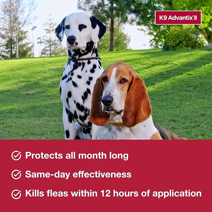 K9 Advantix II Large Dog Vet-Recommended Flea, Tick & Mosquito Treatment & Prevention | Dogs 21-55 lbs. | 1-Mo Supply (Pack of 3)
