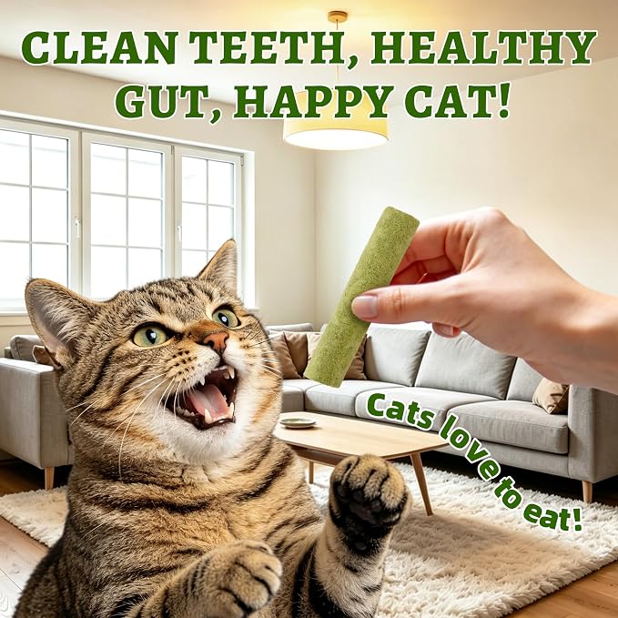 Just Try Cat Grass Sticks for Cat Hairball Control & Teeth Cleaning Dental Chews for Cats Crunchy Cat Treats for Indoor Cats Healthy Cats Treats (17.6 OZ)