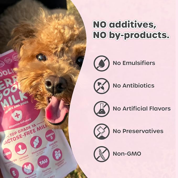 Choolip Berry Good Milk for Cats & Dogs – Lactose-Free Pet Milk Pouches – Vet-Formulated Hydrating Drink with Cranberry, CoQ10, Glucosamine & Omega-3 (100mL x 8 Pouches)