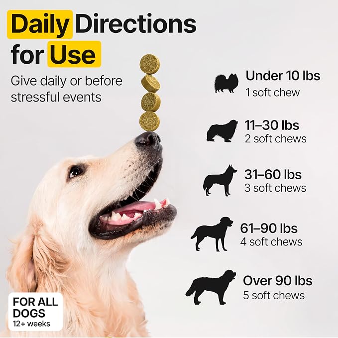 Flea and Tick Prevention for Dogs Chewable – Natural Flea Pills for Dogs, All Breeds & Ages, Chicken Flavor – Dog Flea and Tick Treatment Chewable Supplement – 2 Pack, 340 Count, Made in USA