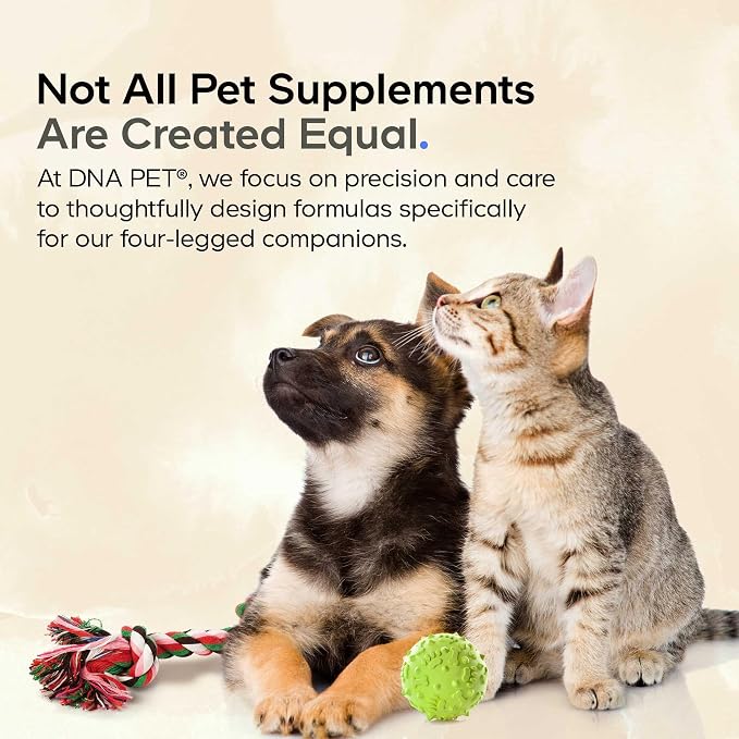 DNA PET Wild Alaskan Salmon Oil for Dogs - EPA, DHA, Omega 3 & 6 Fatty Acids for Pets - Liquid Fish Oil Supplement for Dogs - All Breeds - 8 fl oz