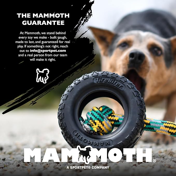 Chew King by Mammoth Glow-in-the-Dark Dog Fetch Balls (2-Pack), Lattice Rubber Fetch Toys for Night Play, High Bounce, Rechargeable Under Any Light, Medium 3.25"