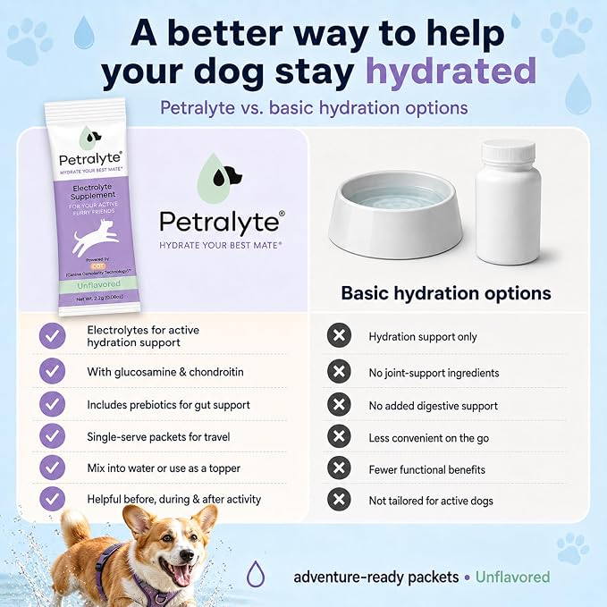 Dog Electrolytes and Joint Supplement | Glucosamine, Chondroitin & MSM for Inflammation and Mobility Support | Electrolytes for Dogs with Prebiotics | Unflavored | 16 Packets