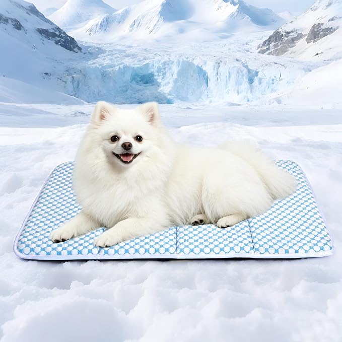 Dog Cooling Mat for Large Dogs – 24"x18" Orthopedic Memory Foam Pad for Summer, Hot Weather & Joint Relief | Washable, Non-Slip Crate Mat for Senior Dogs, Travel & Home(Blue)