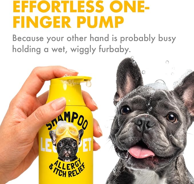 LEGITPET Oatmeal Dog Shampoo & Conditioner Itch & Allergy Relief with Honey & Aloe Hypoallergenic Gentle Calming Formula for Sensitive Skin & Dandruff Safe for Puppies Best for All Breeds 2 x 16oz