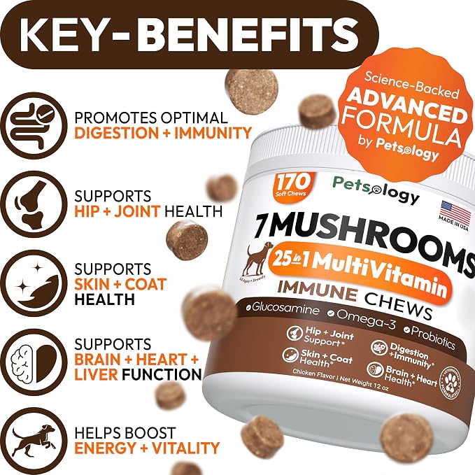 (2 Pack) Turkey Tail Mushroom for Dogs - 340 Chews - Lion’s Mane - Shiitake - Reishi - Buddy Immune Support Guard - Mushroom Supplement for Dogs with Glucosamine, Health Vitamins Multivitamin