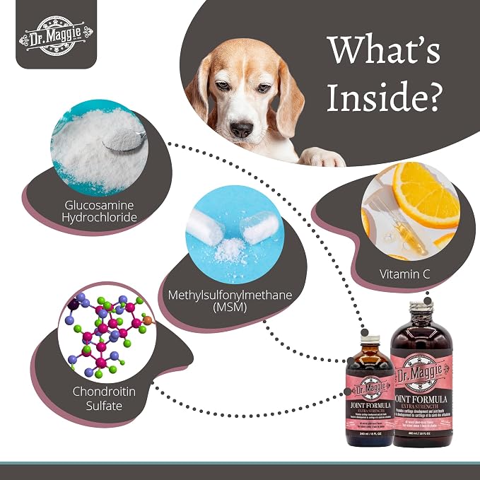 Dr. Maggie Joint Formula for Dogs and Cats with MSM, Glucosamine, and Chondroitin | 240 ml