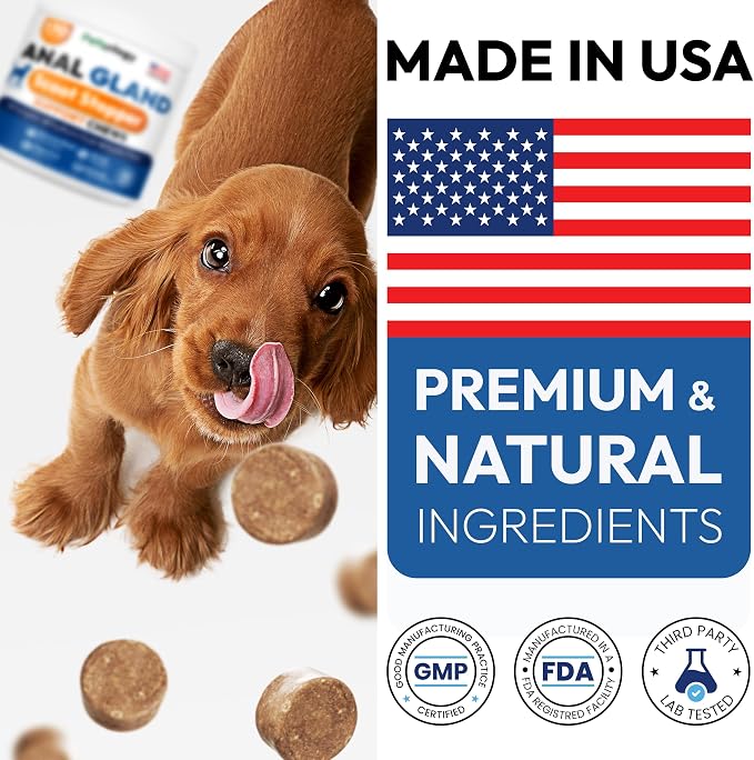 Anal Gland Support Chews for Dogs - 170 Ct - Scoot Treatment - Dog Anal Gland Supplement - Pumpkin, Psyllium Husk, Fiber - Supports Gut Health & Stool Quality - Digestive Enzymes - Made in USA