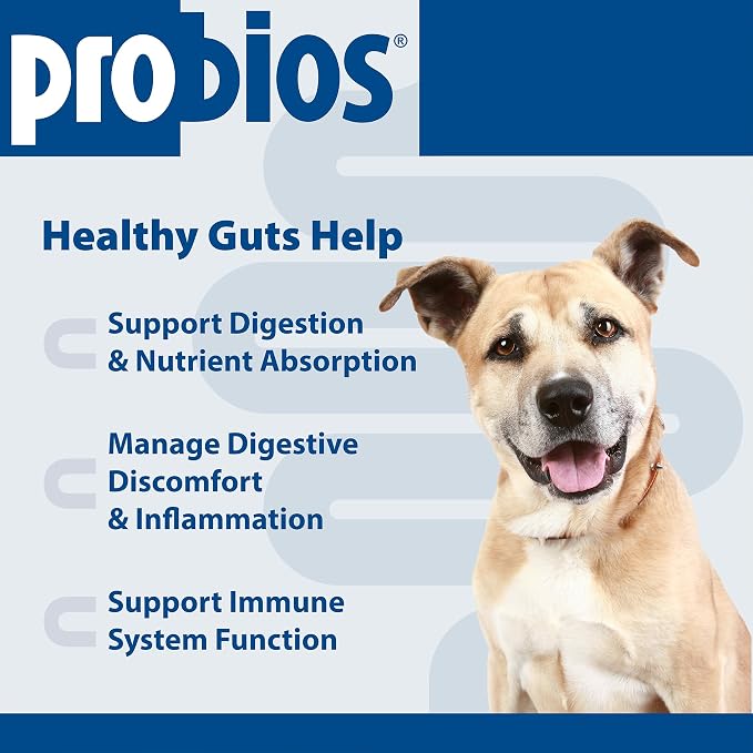 Probios Intelliflora for Dogs, Daily Probiotic Powder with Prebiotics, 200 Million CFU/g, Supports Gut Health Digestion and Immune Health, Chicken Liver, 30 Sachets (Pack of 2)
