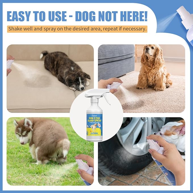 16 Oz Encourages Dog Good Potty Behavior - Pet-Friendly Training Spray for Dogs – Indoor Potty Training Spray for Dogs – Reduces Dog Wrong Marking