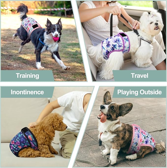 Female Dog Diapers - Reusable Diapers for Doggie in Heat - Highly Absorbent for Pet Incontinence with Snaps (Pack of 3) Rose, L