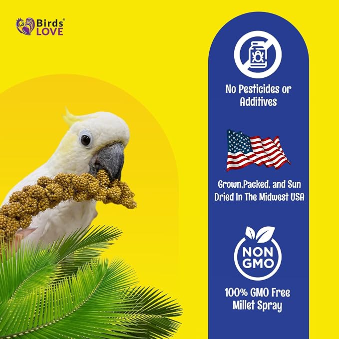 2lbs Economy & Special Spray Millet for Birds – GMO-Free, No Stems (Only Edible Tops) – 100% Natural Sun-Dried Foraging Treat for Cockatiels, Lovebirds, Parakeets, Finches & Canaries