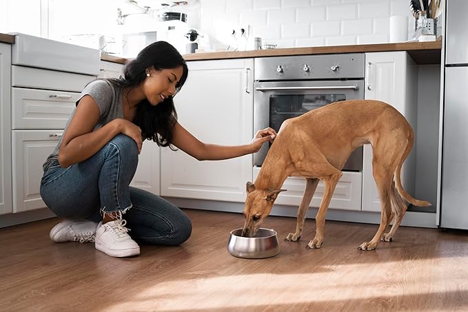 Sipworks Stainless Steel Pet Water Bowl for Cats & Dogs | Reusable Stainless Steel Insulated Food Bowls for Cat Dog | No Slip No Tip No Spill BPA Free | 32oz | Mahogany
