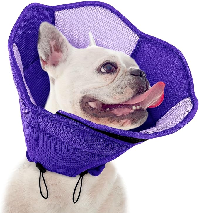 Dog Cone - Soft Cone for Dogs to Stop Licking, Pet E-Collar Alternative After Surgery, Adjustable Pet Recovery Collar for Wound Healing, Purple Small