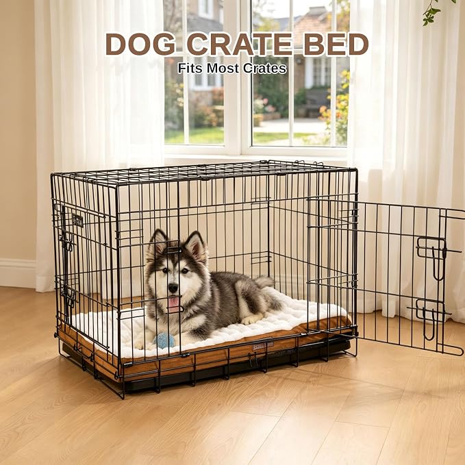 Orthopedic Dog Bed with Firm High-Density Egg Crate Foam,Soft Short Plush Surface Pet Beds,Machine Washable with Removable Cover & Non-Slip Bottom for Medium & Large Breeds (Brown, 35"L x 22"W x 3"H)
