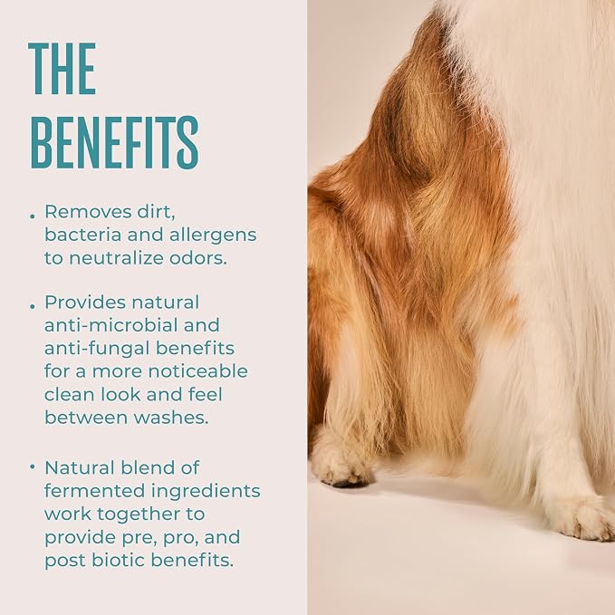 WagWell Grooming Bundle | Paw Protector and Wipes - Vet-Approved & Microbiome-Friendly Dog Paw Pad & Nose Balm - Hypoallergenic, Fragrance Free, Microbiome-Friendly Grooming Wipes | $32 Value