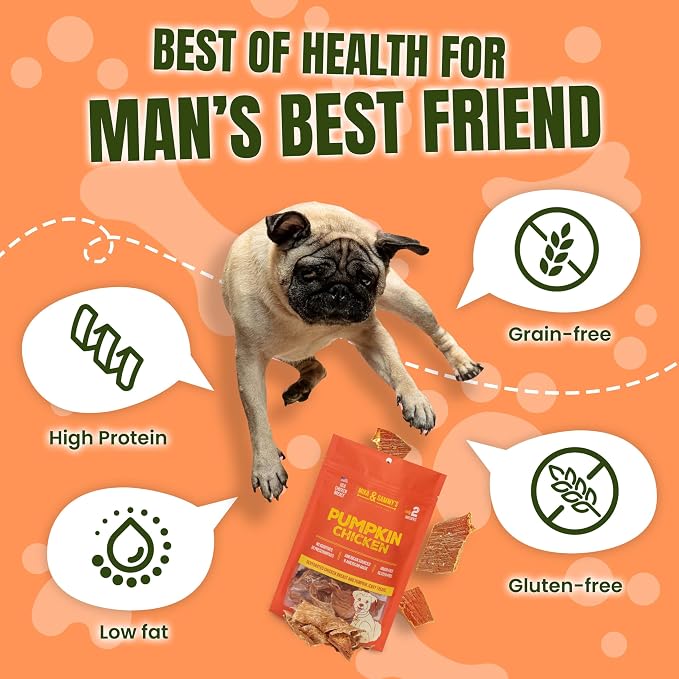Gourmet Jerky Dog Treats -Made in USA only, Cage-Free, No Additives (Pumpkin Chicken 12 oz)