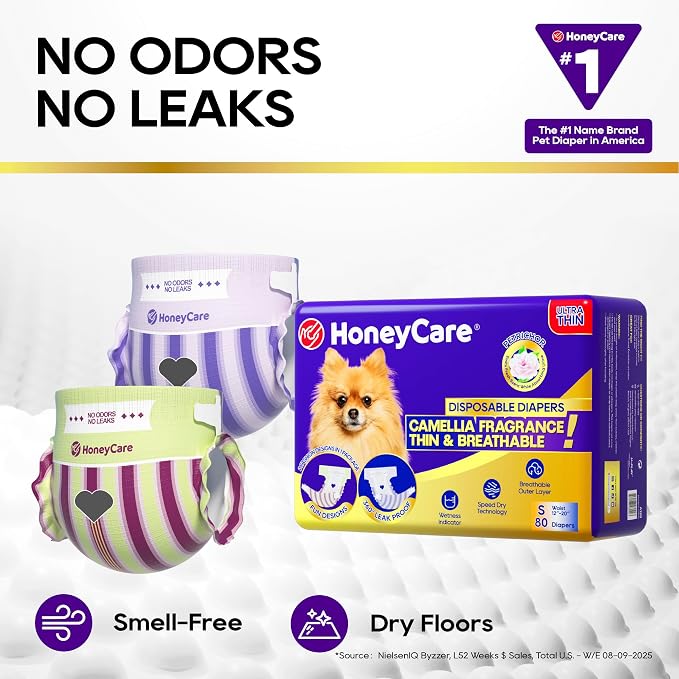 HONEY CARE Petrichor Female Dog Diaper, Camellia Fragrance, Emits Fresh Scent While Absorbing Urine, Thin & Breathable, 2 Fashion Designs in 1 Package, S, 80 Count