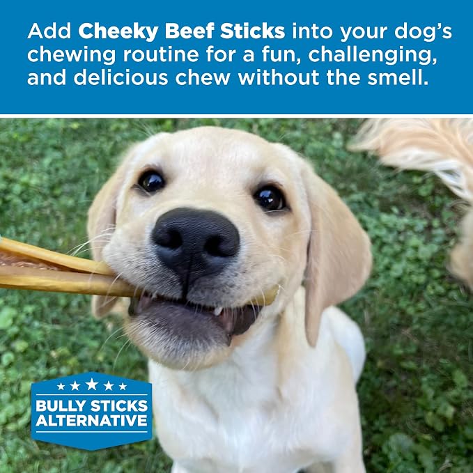 Best Bully Sticks Cheeky Beef Treats - 6 Inch 5 Count (Pack of 1) - Single Ingredient, 100% Grass-Fed, USA Packed, Long-Lasting, Odor Free Alternative to Bully Sticks