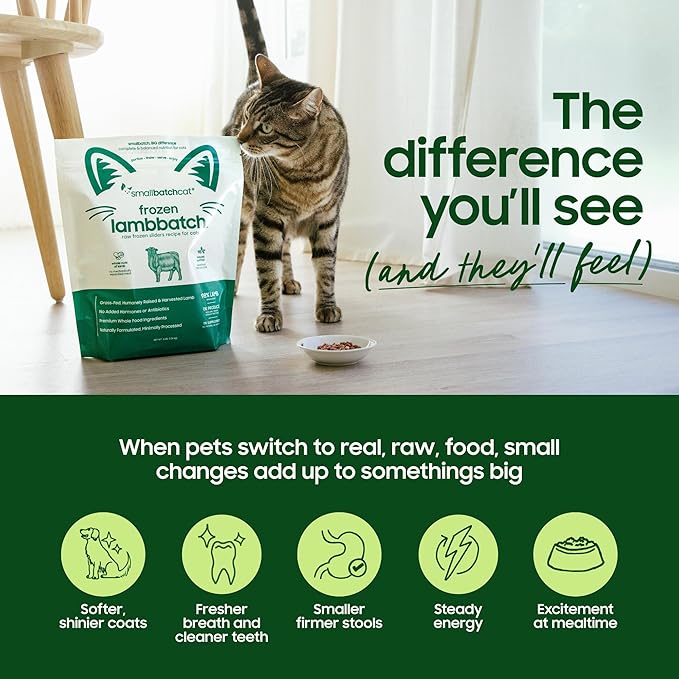 smallbatch Freeze-Dried Beef Dog Food – Grain Free, Organic Produce – Raw Dehydrated Beef Small Bites, High Protein Complete Meal or Topper – Humanely Raised, Made in USA, 7oz