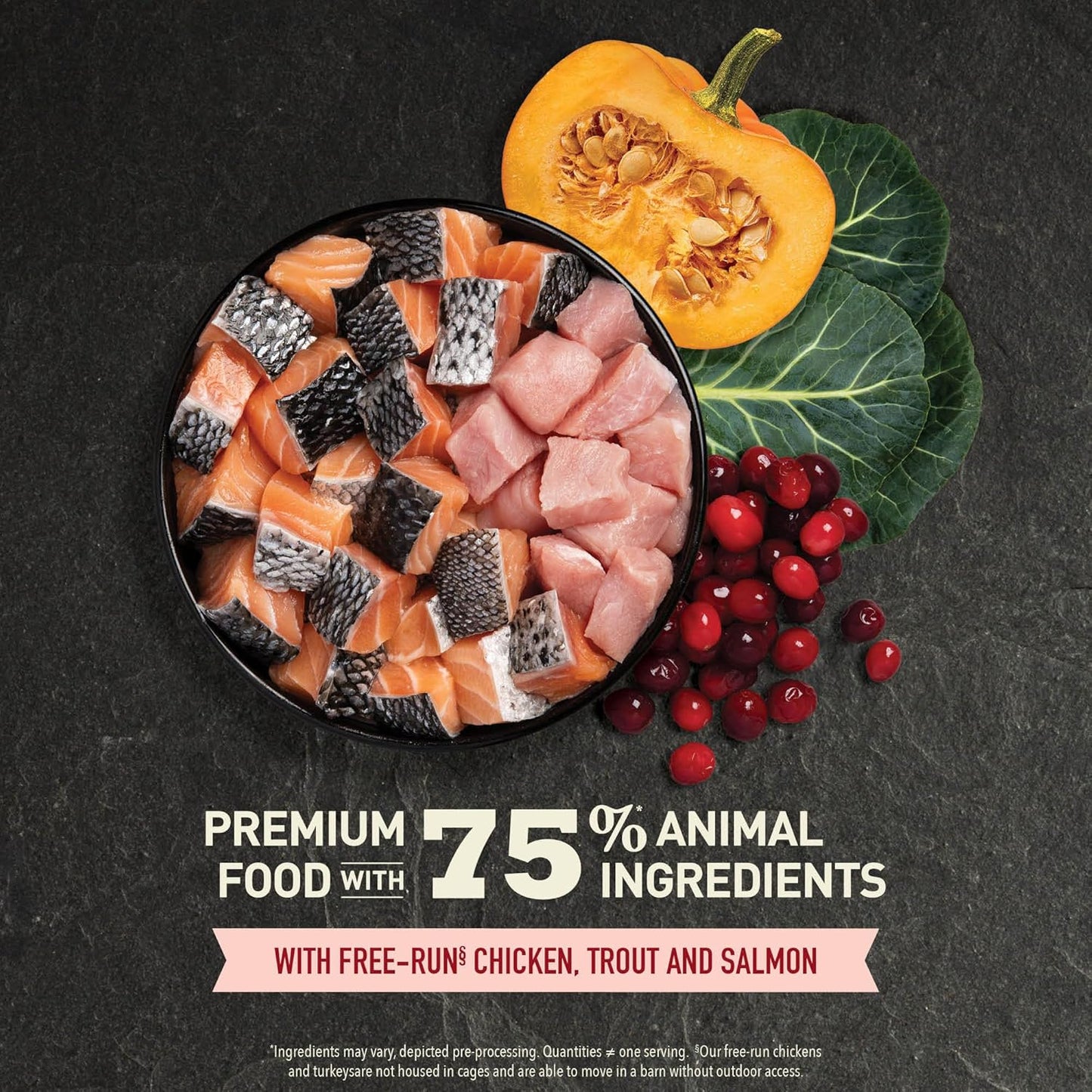 ACANA Highest Protein Dry Cat Food Indoor Cat Food Recipe 10lb Bag