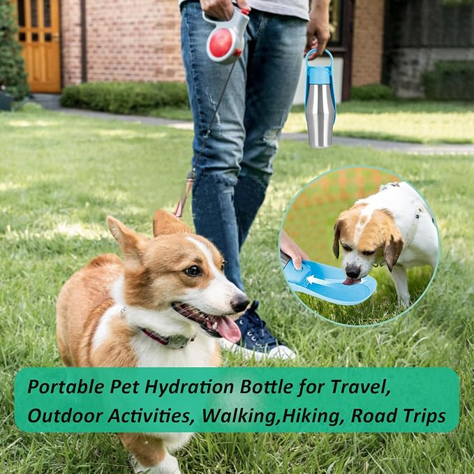 Portable Dog Water Bottle with Dispenser, 750ml Stainless Steel Travel Cup and Collapsible Water Bowl for Dogs, Ideal for Outdoor Activities, Walking,Hiking, Road Trips (Grey)