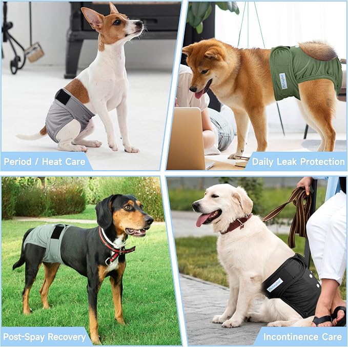 5Pcs Washable Reusable Female Dog Diapers Puppy Doggy Doggie Diapers for Female Dogs Small Medium Large Period Panties in Heat, Small