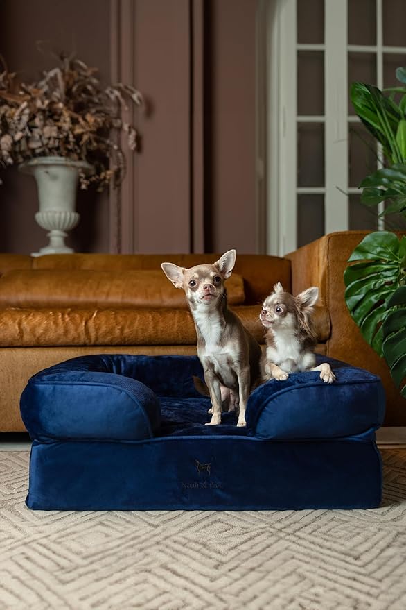 NOAH & PAW Dog Bed, 28x23x11 Inch, Orthopedic Dog Beds for Medium Size Pets, Eggshell Memory Foam Infused with Cooling Gel, Inner Cover, Water Resistant, Machine Washable (Velvet Sofa Collection)