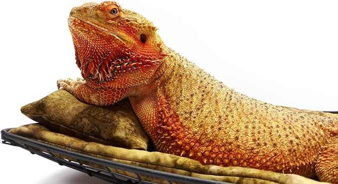 Chaise Lounge for Bearded Dragons, Brown Batik Fabric