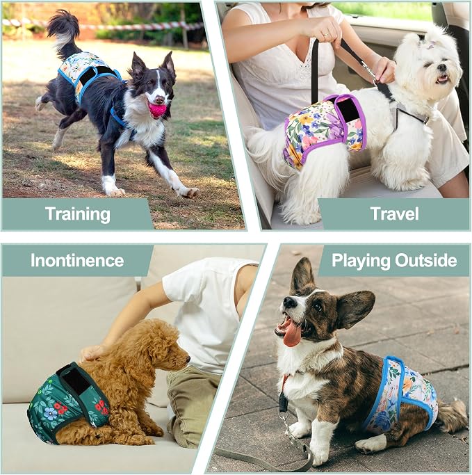 Dog Diapers Female- Reusable Diapers for Doggie in Heat - Highly Absorbent for Pet Incontinence with Adjustable Snaps Green, S