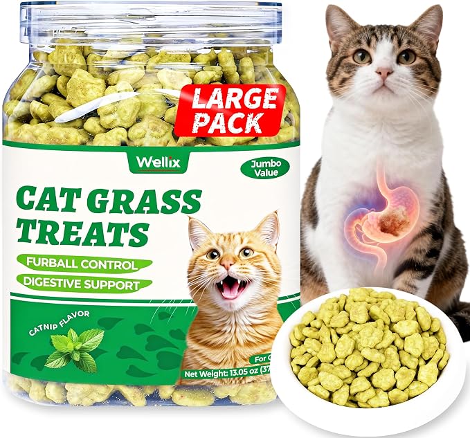 Wellix Cat Grass Treats with Catnip & Salmon - Healthy Cat Treats for Indoor Cats - Hairball Control & Digestive Support - Kittens Training Snacks for Teeth Cleaning 13.05oz