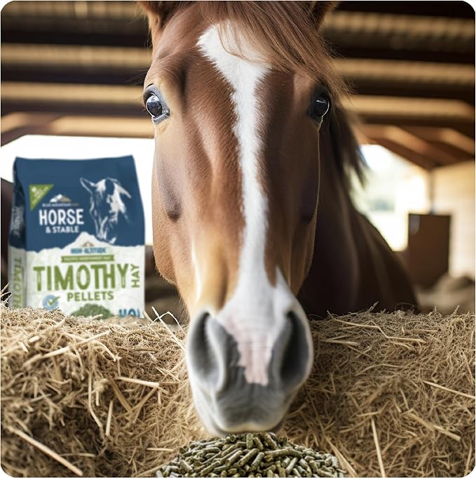 Blue Mountain Hay High Altitude Timothy Hay Pellets (40 lb), Ultra Premium Nutrient Dense Forage, Small Quick Soaking Low Dust Pellets, Easy to Measure, Automatic Feeder Friendly