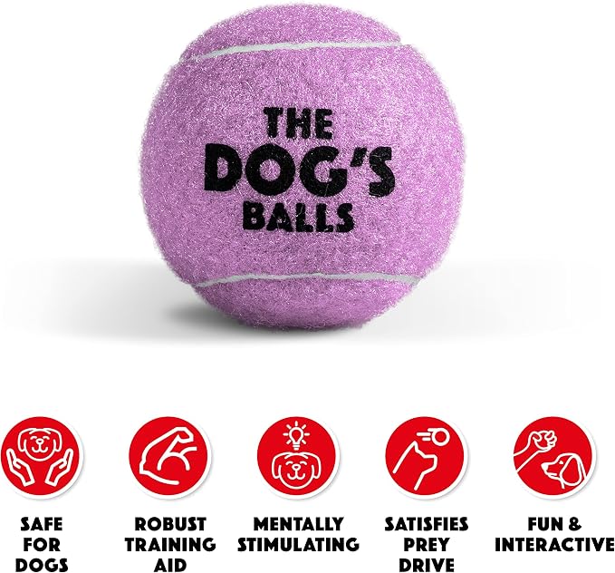 The Little Dog’s Balls Small Dog Tennis Balls 6-Pack Lilac Floats in Water | Our fetch balls combine non-abrasive felt exterior and a thicker rubber core Durable Dog Toy for Outdoor Play & Training