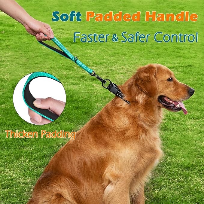 PetBonus Heavy Duty 12 Inch Short Dog Leash and 2-Pack Large Silicone Collapsible Dog Bowls