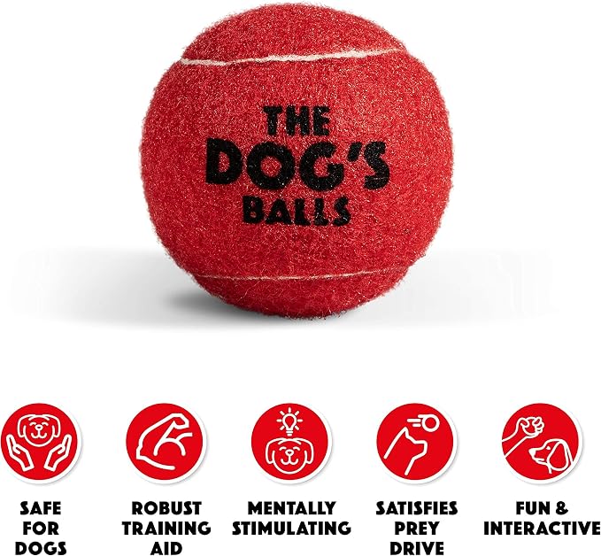 The Dog's Balls Dog Tennis Balls Tough 2.5" 12-Pack Red Floats in Water | Our fetch balls combine non-abrasive felt exterior and a thicker rubber core Durable Dog Toy for Outdoor Play & Training