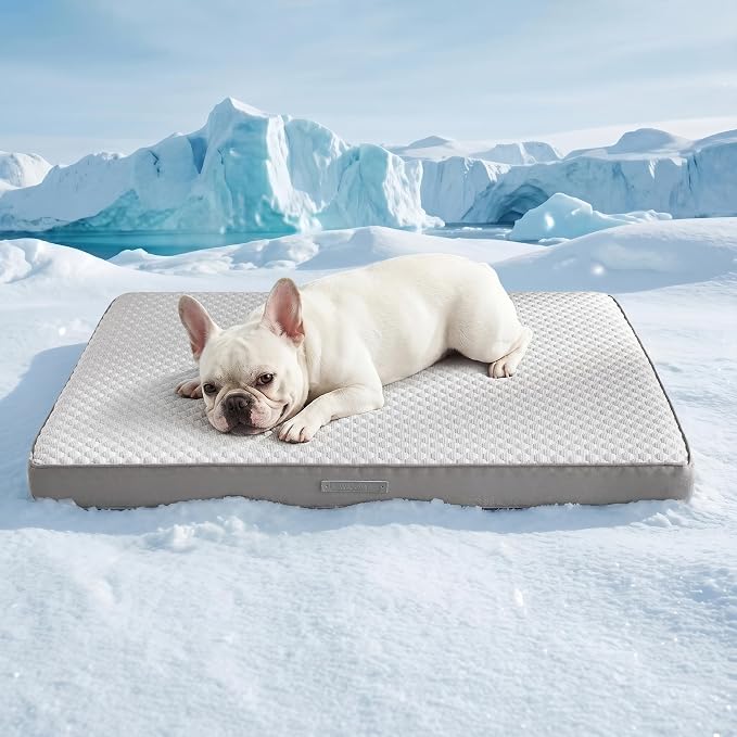 WDCOZY Orthopedic Cooling Dog Bed for Medium Dogs, Q-Max>0.4 Breathable Summer Pet Mat with High Density Memory Foam, Removable Washable Cover, Non-Slip Dog Crate Bed for Pets Up to 40 lbs，29x21 Inch