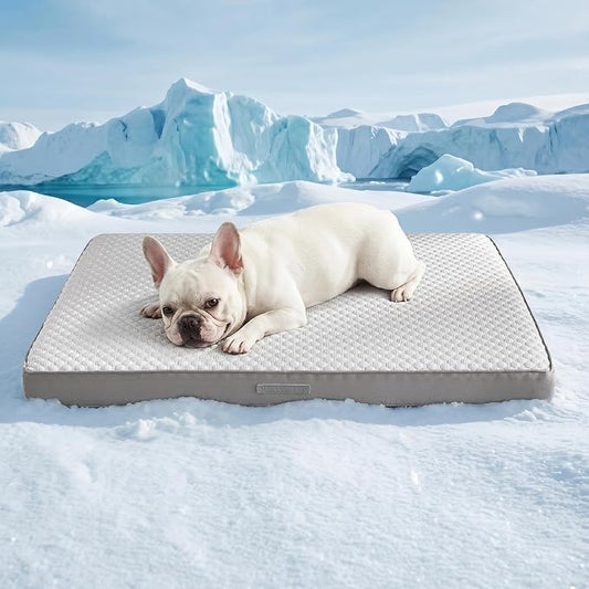 WDCOZY Orthopedic Cooling Dog Bed for Medium Dogs, Q-Max>0.4 Breathable Summer Pet Mat with High Density Memory Foam, Removable Washable Cover, Non-Slip Dog Crate Bed for Pets Up to 40 lbs，29x21 Inch