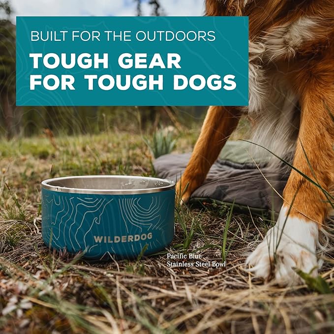 Widlerdog Stainless Steel Dog Bowl with Extra Durable Kitchen-Grade BPA-Free Stainless Steel with Non-Slip Rubber Ringed Bottom (Pacific Blue, 16 oz)