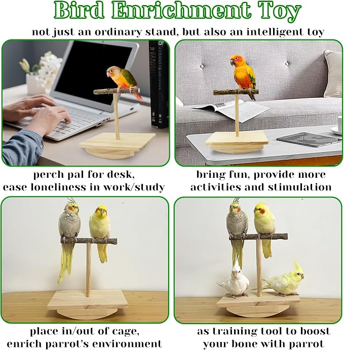 Natural Wood Bird Perch Stand & Large Bird Swing with Chew Toys, Intelligence Puzzle Platform and 3 Sisal-Wrapped Perches for Conure Cockatiel