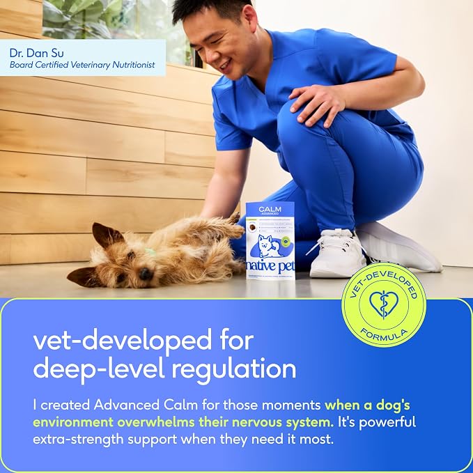 Native Pet Advanced Calming Chews for Dogs 60 Ct & 5 Small Yak Cheese Himalayan Dog Chews - Long Lasting Dental Sticks for Small Breeds Supports Mental Enrichment & Helps with Anxiety Related Behavior