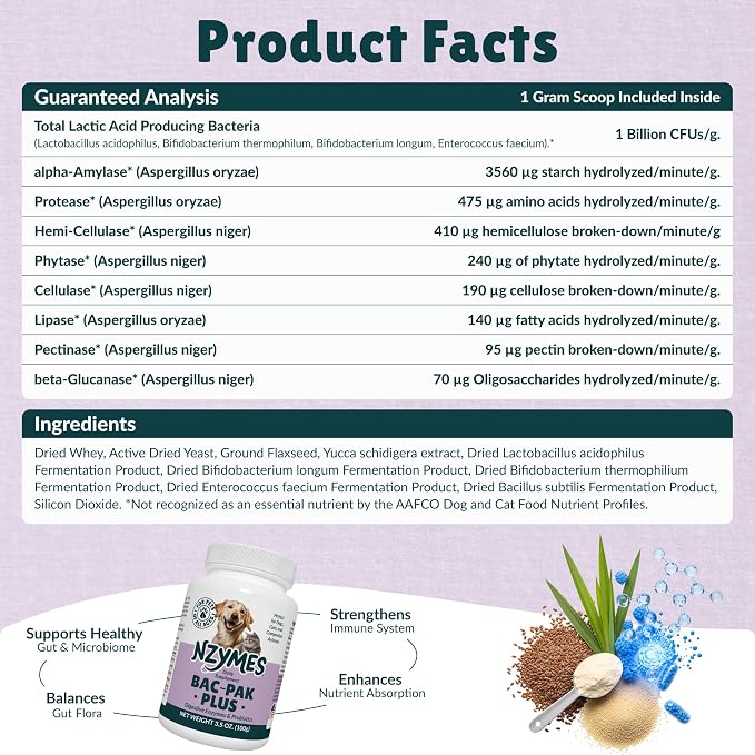 Nzymes® Bac-Pak Plus 400 Grams Digestive Enzymes and Probiotics for Digestion, Loose Stools, Diarrhea, Constipation, Improved Nutrient Uptake - Made in The USA